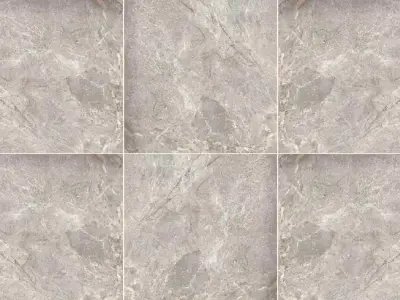 Zerde Reef Stone Relief