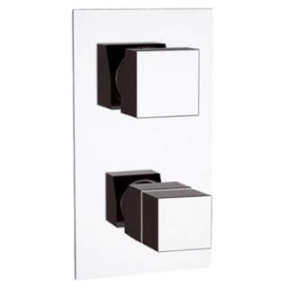 Смеситель термостатический для душа Remer Q-Elegance QT95