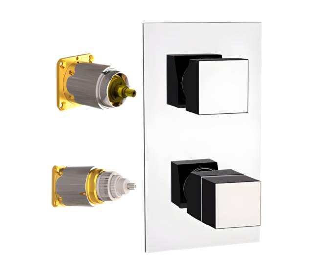 Смеситель термостатический для душа Remer Q-Elegance QT92KB