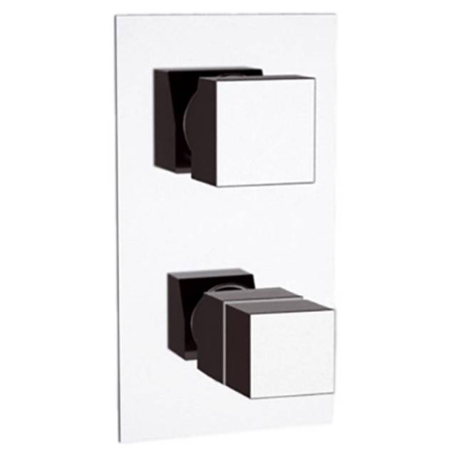 Смеситель термостатический для душа Remer Q-Elegance QT95