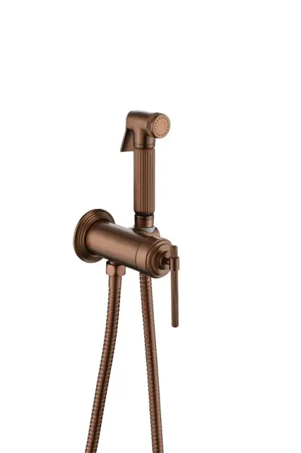Boheme Eterna Гигиенический душ со смесителем и встраиваемой частью, цвет: brushed bronze 177-BRB