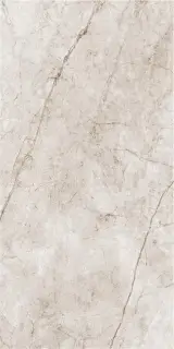 RAIN FOREST WHITE PULIDO 59X119
