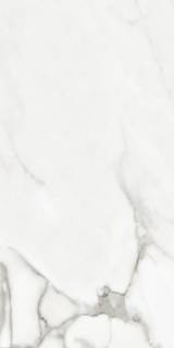 VENATO NATURAL POLISHED 60X120