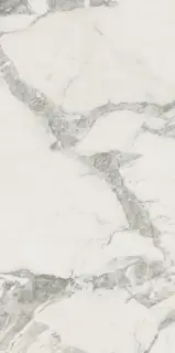 Микеланджело Колд 60x120