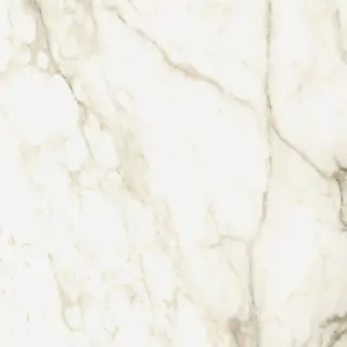 Микеланджело Ворм 60x60