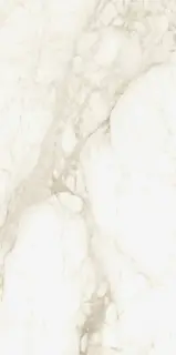 Микеланджело Ворм 60x120