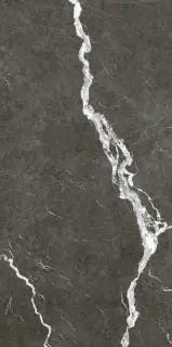 Микеланджело Дарк 60x120