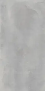 Астро Сильвер 60x120