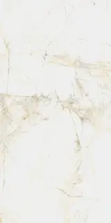 Канова Уайт 60x120