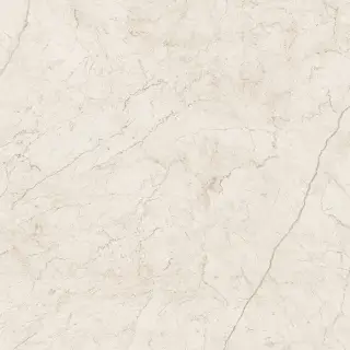 Контемпора Пур Пат 60x60