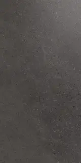 Контемпора Карбон Пат 30x60