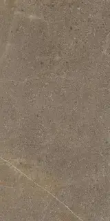 Контемпора Бёрн Пат 60x120
