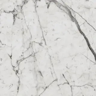 Шарм Эво Статуарио Люкс 60x60
