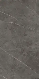 Шарм Эво Антрачит Люкс 60x120