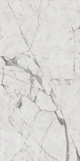 Шарм Эво Статуарио 60x120