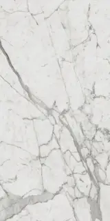 Шарм Эво Статуарио Люкс 60x120