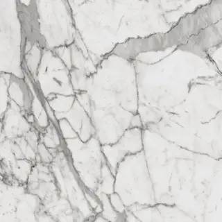 Шарм Эво Статуарио 60x60
