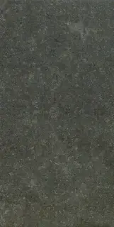 Аурис Блэк Реt 30x60