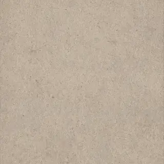 Эверстоун Дезерт 60x60