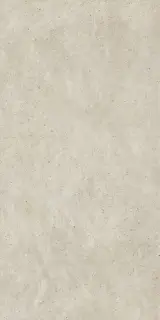 Скайлайн Сноу 60x120