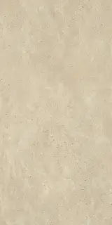Скайлайн Аш 60x120