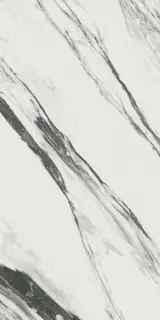 Шарм Делюкс Стат.Фант.Пат 60x120
