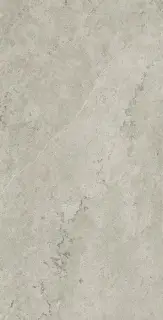 Метрополис Абсолют Сильвер 60x120