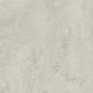 Метрополис Абсолют Сильвер 120x120