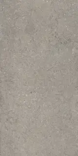 Дискавер Грэй 60x120