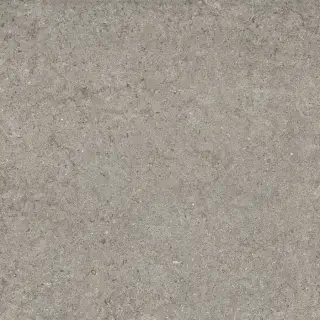 Дискавер Грэй 60x60