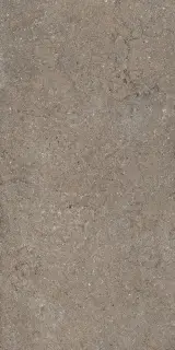 Дискавер Дезерт 60x120