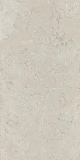Дискавер Уайт 60x120