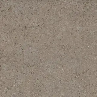 Дискавер Дезерт 60x60