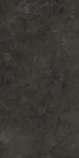 Вояджер Блэк 60x120
