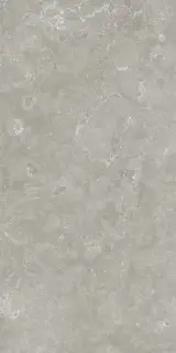 Вояджер Грэй 60x120