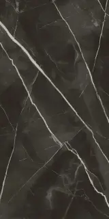 Стеллариус Абс.Блэк Шлиф 60x120