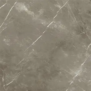 Стеллариус Тус.Грэй 120x120