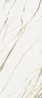 Стеллариус Калакатта Голд 120x278