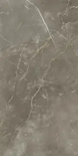 Стеллариус Тус.Грэй Шлиф 60x120