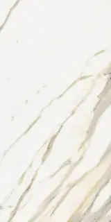 Стеллариус Кал.Голд 60x120