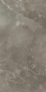 Стеллариус Тус.Грэй 60x120