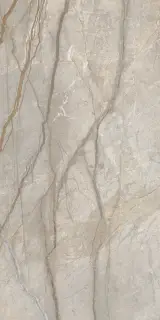 Стеллариус Элег.Сильвер Шлиф 60x120