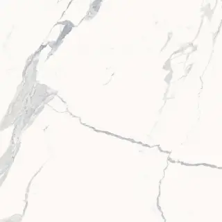 Стеллариус Стат.Уайт 120x120