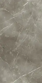 Стеллариус Тус.Грэй 80x160