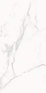 Стеллариус Стат.Уайт Шлиф 60x120