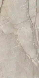 Стеллариус Элег.Сильвер 60x120