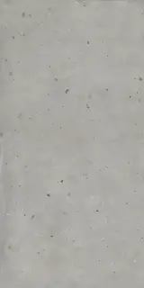 Авангард Сильвер 60x120