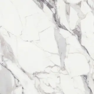 Origines De Rex Argent Glossy 6mm 120x120