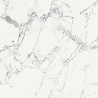 Origines De Rex Blanc Glossy 6mm 120x120