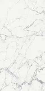 Origines De Rex Blanc Matte 6mm 120x240
